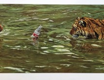 Two-Tigers-cubs-playful
