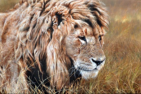 out_of_africa