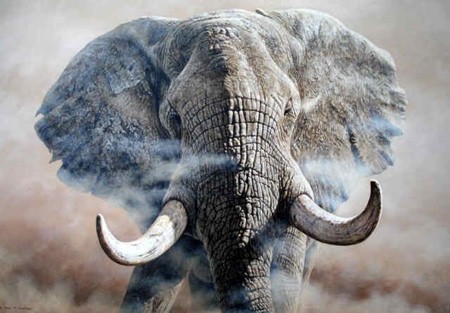 out_of_africa_elephant