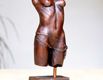 Female Nude Torso