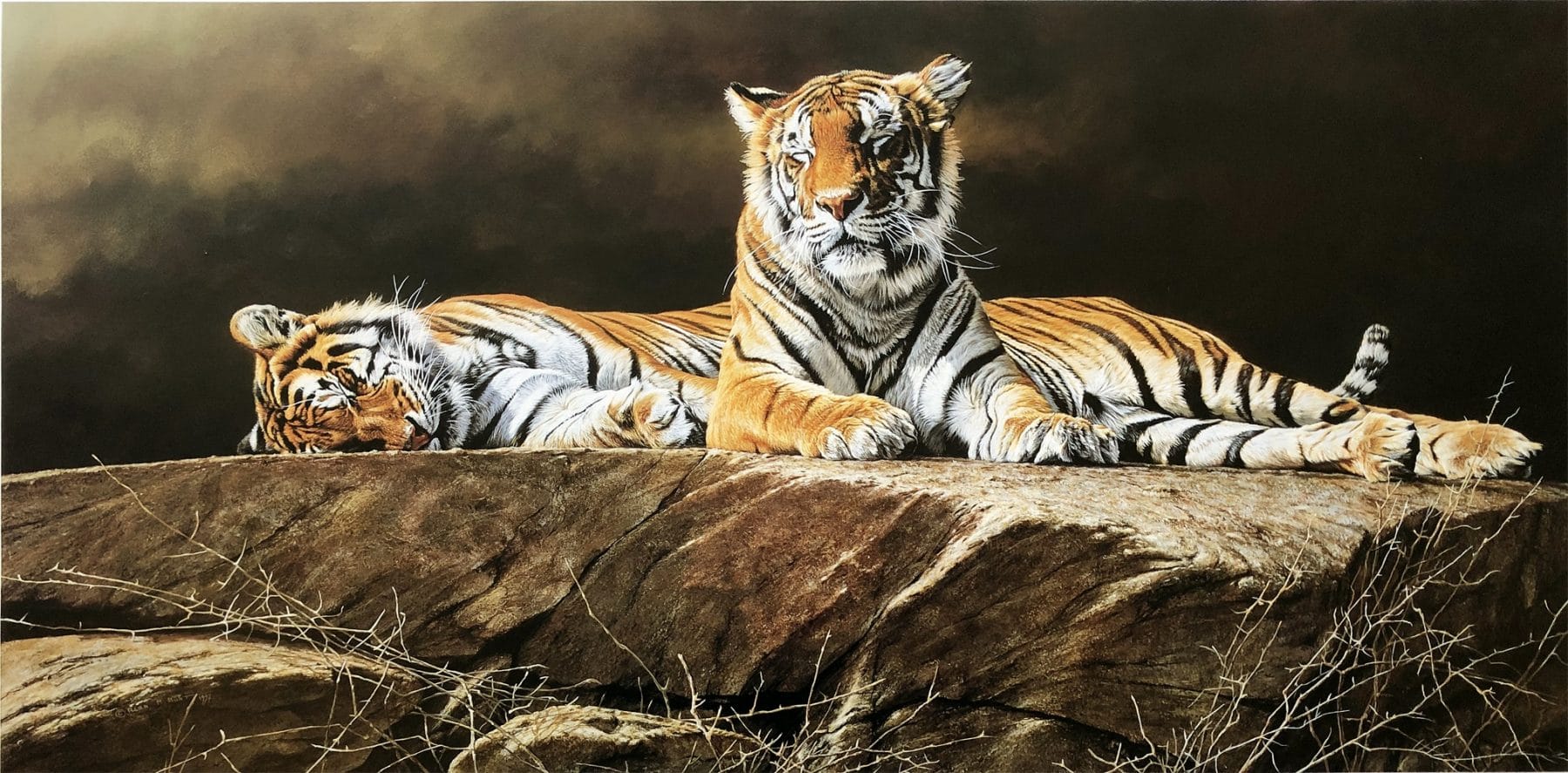 Artist proof signed limited edition print mount & frame